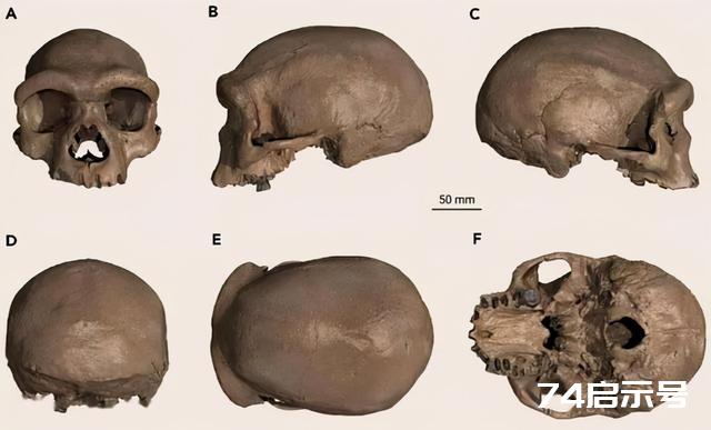 新人种“龙人”是在我国发现的，但他可能会改写全人类族谱