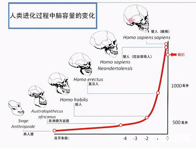 新人种“龙人”是在我国发现的，但他可能会改写全人类族谱