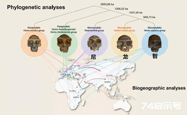 新人种“龙人”是在我国发现的，但他可能会改写全人类族谱