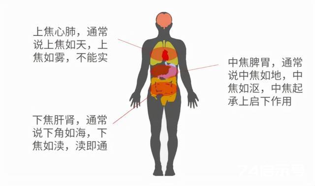 慢性病、顽固病，是三焦不通了！一碗“三仁汤”打通三焦