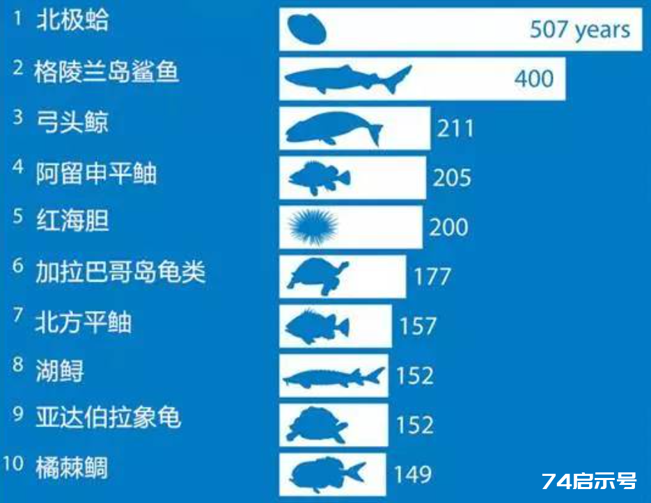 理论上，人类的极限寿命是多少岁？听完科学家解释就懂了