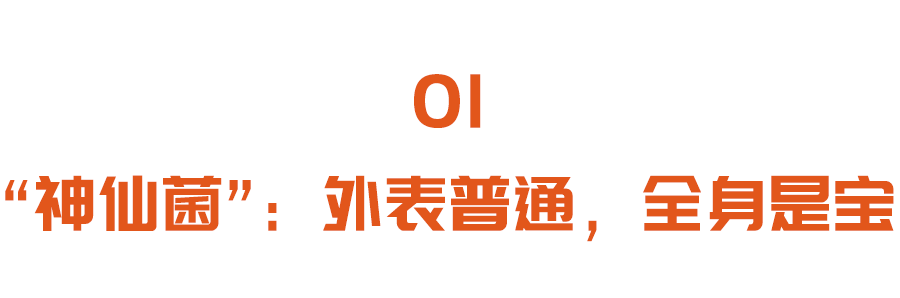 健脾祛湿厉害的不是薏米，而是它！三种“黄金搭配”，安神、和胃、益气，久服助长寿！