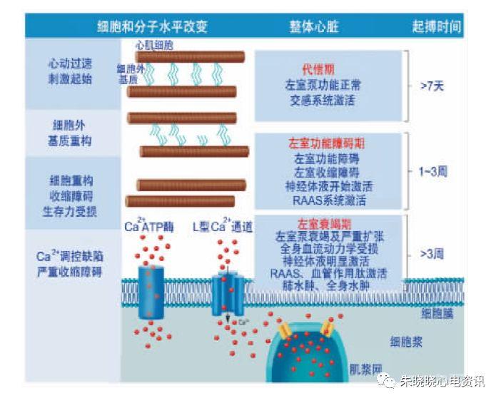 【郭继鸿教授心电系列之三十八】心房颤动性心肌病