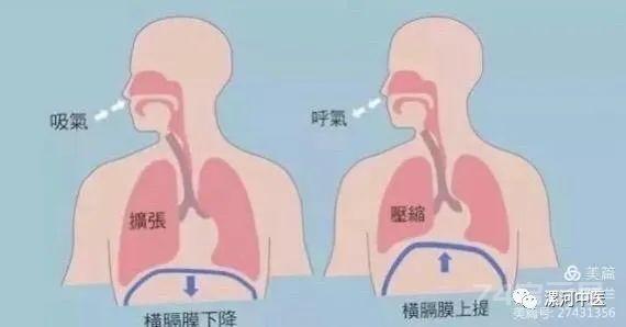 超声评估膈肌功能