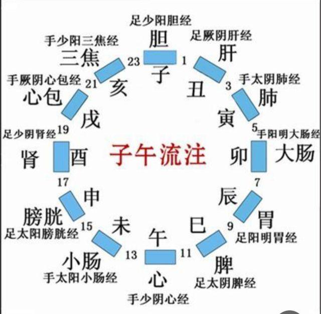 ​八卦各卦与人体脏腑器官对应