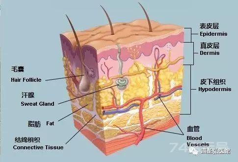 第102篇 小青龙汤