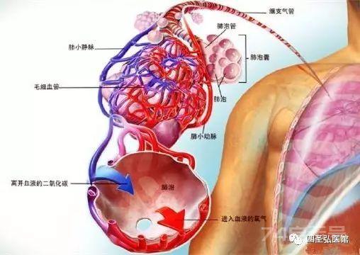 第101篇 桂枝麻黄汤