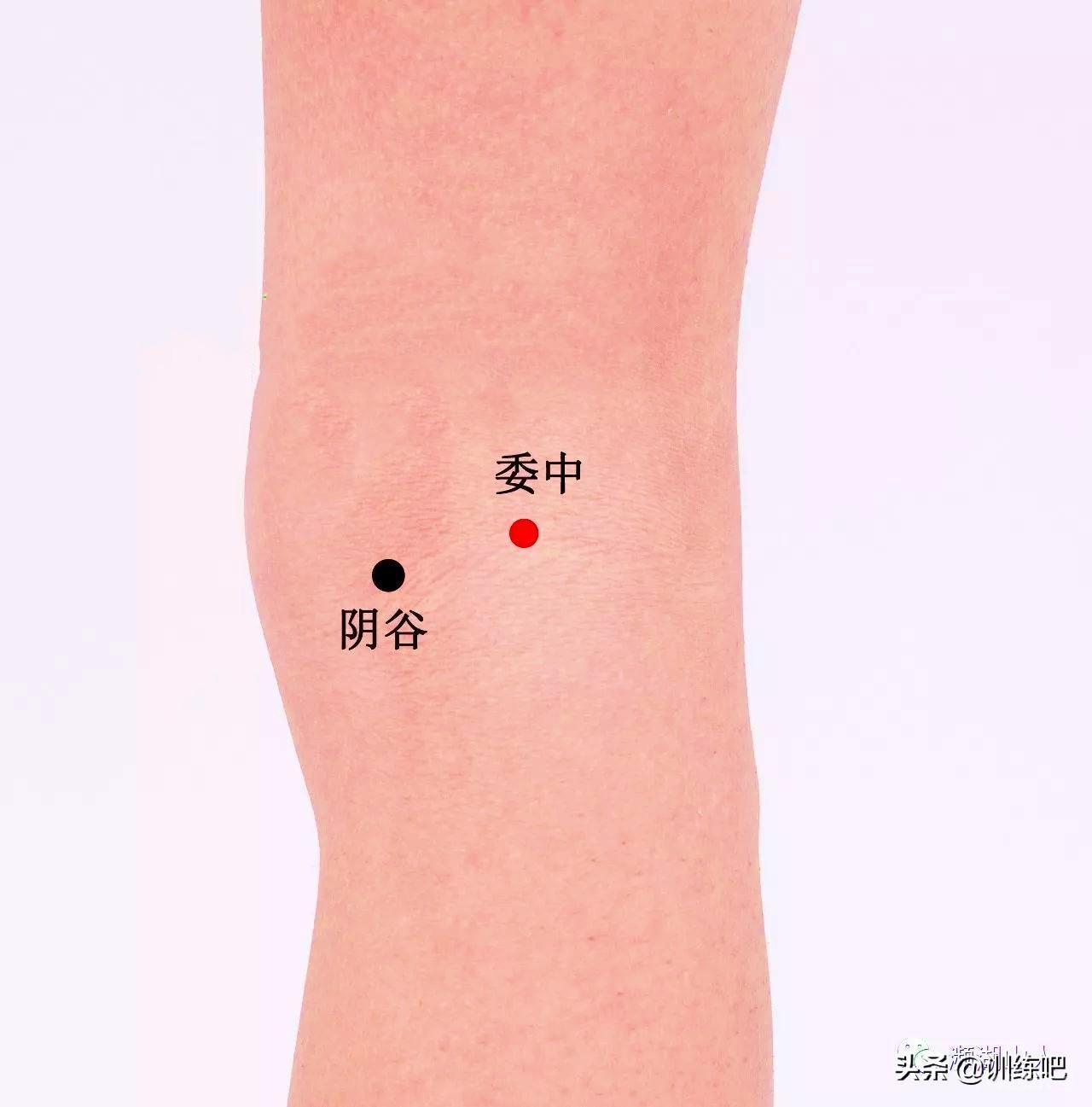 人体有8个黄金穴位，扶正气，调根本。 1...