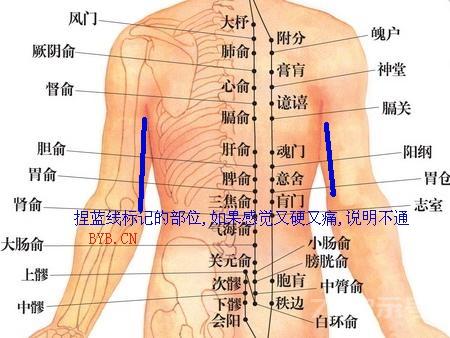 背部夹脊穴-12背俞穴【单穴图文】