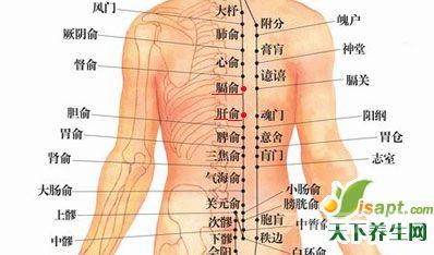 背部夹脊穴-12背俞穴【单穴图文】