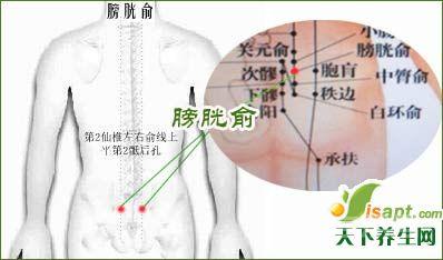 背部夹脊穴-12背俞穴【单穴图文】