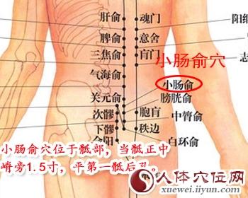 背部夹脊穴-12背俞穴【单穴图文】