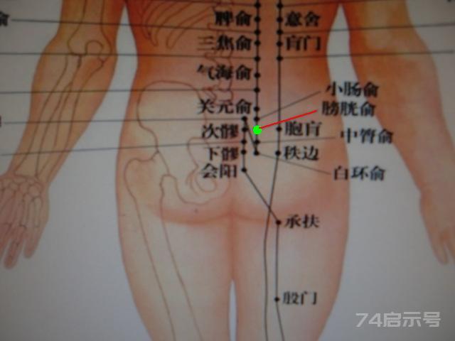 背部夹脊穴-12背俞穴【单穴图文】