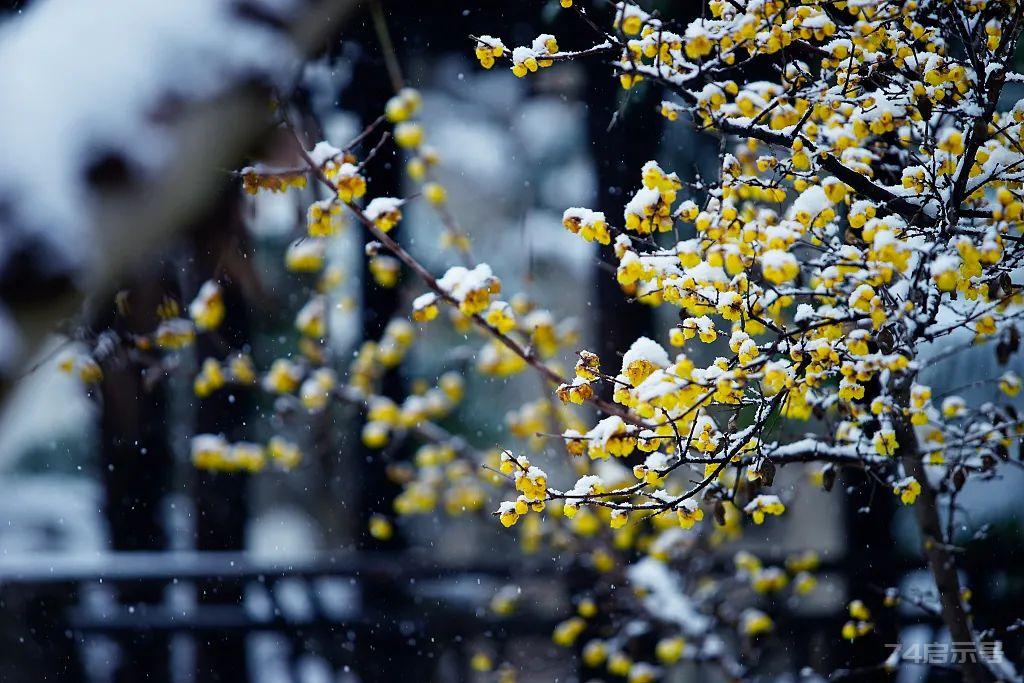 今日小雪，天冷了（致最我牵挂的人）