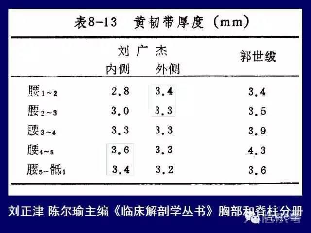 脊柱腰段解剖图（详细标注版 影像图片）