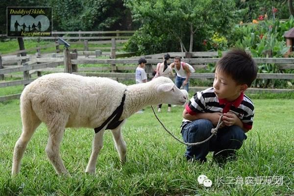 体验农业新模式！台湾打造火热教育休闲农园