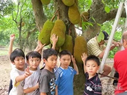 体验农业新模式！台湾打造火热教育休闲农园