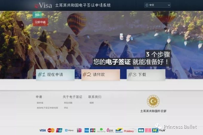 E-visa签证指南|土耳其电子签证申请步骤