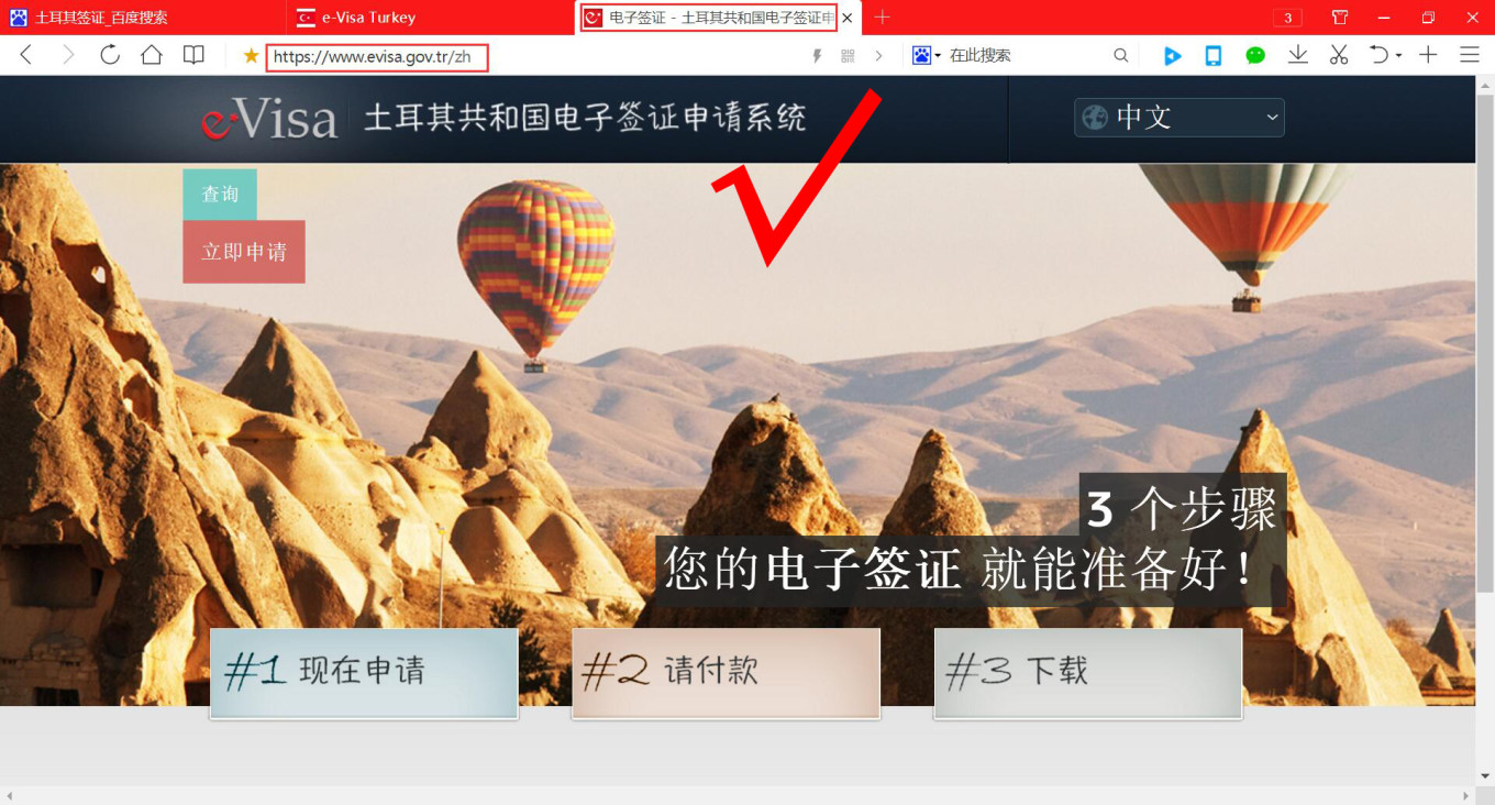 土耳其电子签证攻略，办理超简单！（请注意官网真假）
