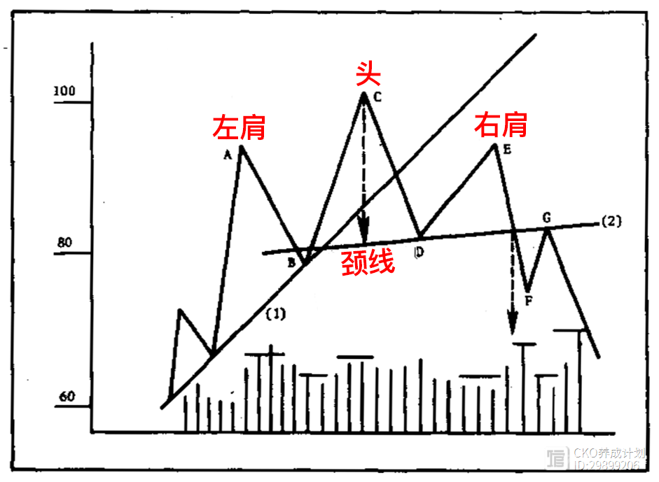 金融市场技术分析