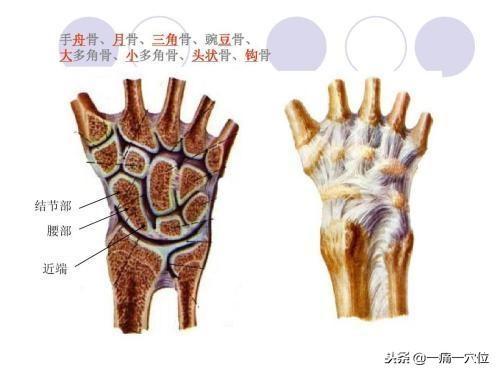 手腕疼不用愁，每天坚持一个小动作，摩擦刺激穴位，缓解手腕疼痛