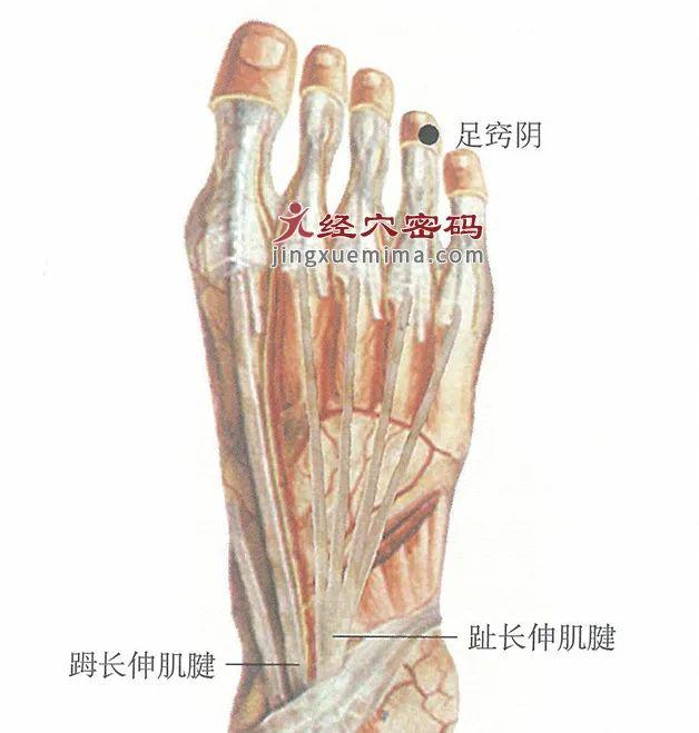 跟着彩云学穴位：2个窍阴穴