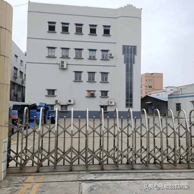 “你不失业，天理难容”，一些大学生被工厂老板痛批，该醒醒了