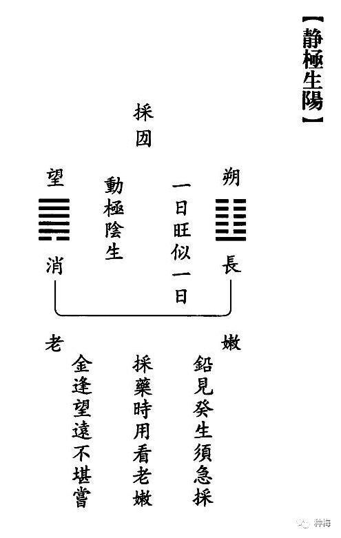 【炁體源流】｜南宗聖典選錄｜悟玄篇