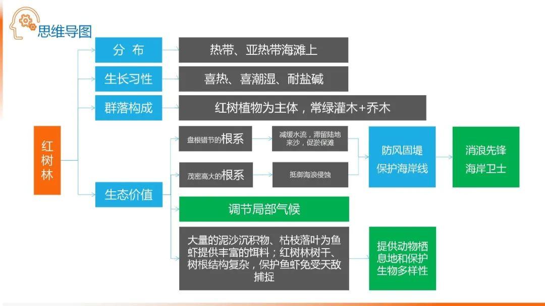 【地理思维】整体性＆自然带＆雪线、自然环境整体性原理的应用、2023届高三学子必备的彩色地理思维导图...