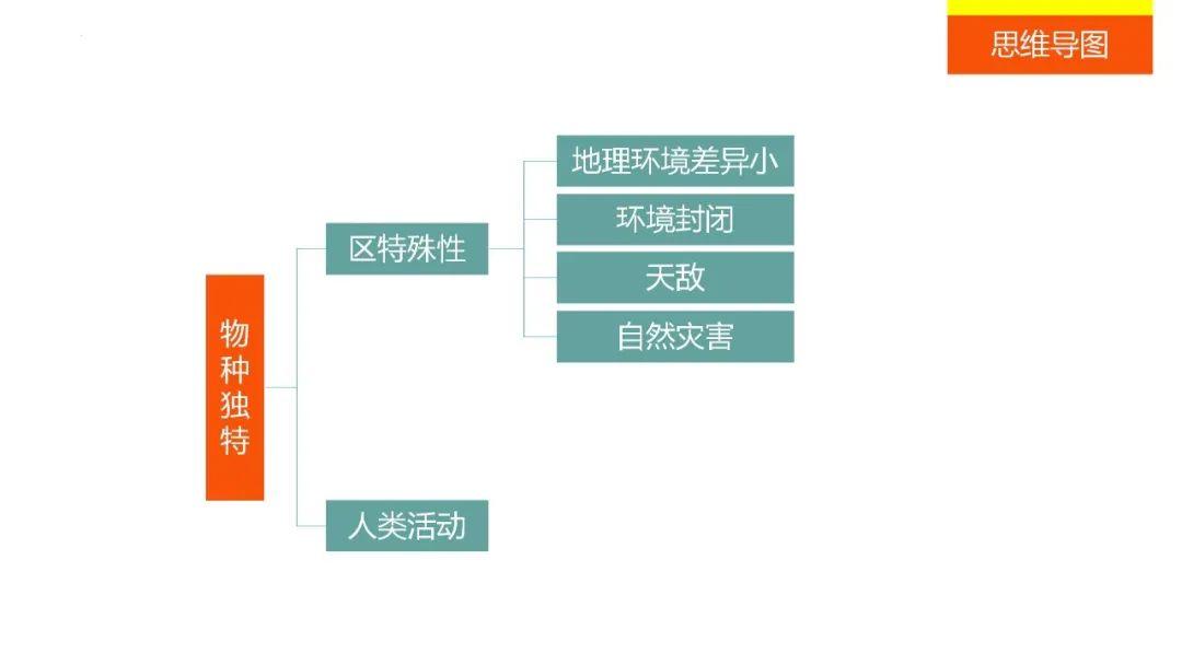 【地理思维】整体性＆自然带＆雪线、自然环境整体性原理的应用、2023届高三学子必备的彩色地理思维导图...