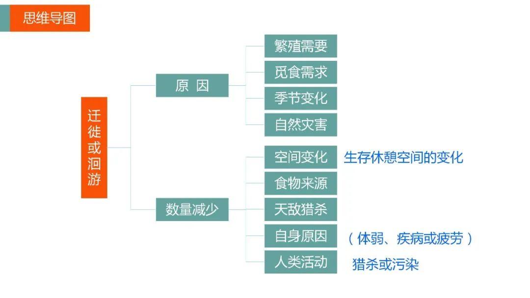 【地理思维】整体性＆自然带＆雪线、自然环境整体性原理的应用、2023届高三学子必备的彩色地理思维导图...