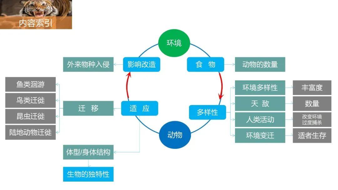 【地理思维】整体性＆自然带＆雪线、自然环境整体性原理的应用、2023届高三学子必备的彩色地理思维导图...