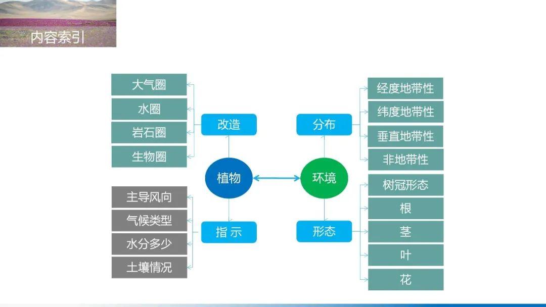 【地理思维】整体性＆自然带＆雪线、自然环境整体性原理的应用、2023届高三学子必备的彩色地理思维导图...