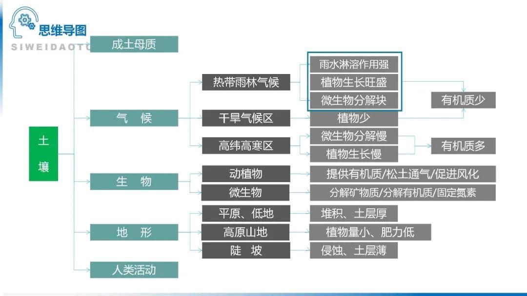 【地理思维】整体性＆自然带＆雪线、自然环境整体性原理的应用、2023届高三学子必备的彩色地理思维导图...