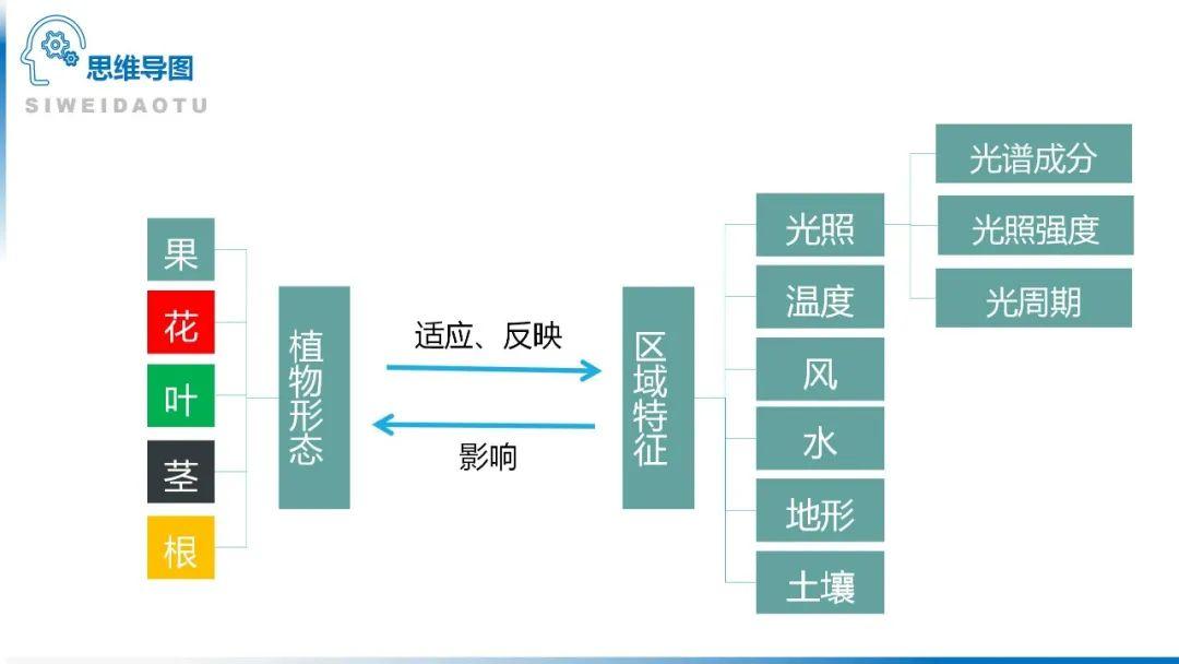 【地理思维】整体性＆自然带＆雪线、自然环境整体性原理的应用、2023届高三学子必备的彩色地理思维导图...