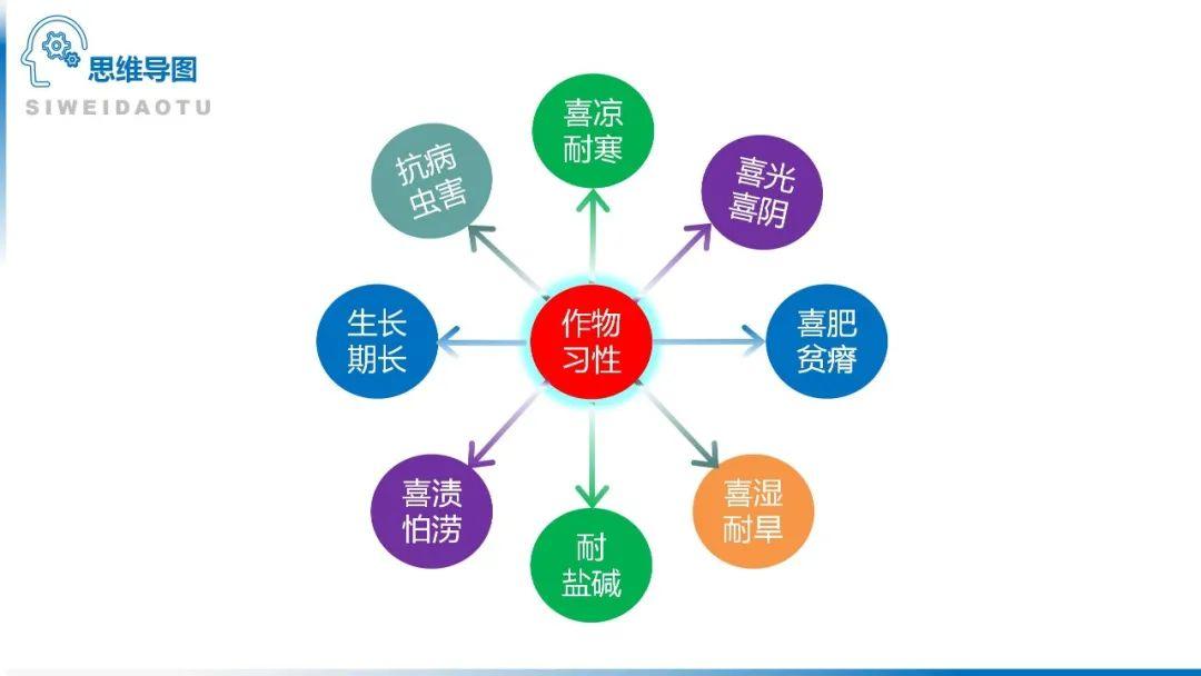 【地理思维】整体性＆自然带＆雪线、自然环境整体性原理的应用、2023届高三学子必备的彩色地理思维导图...