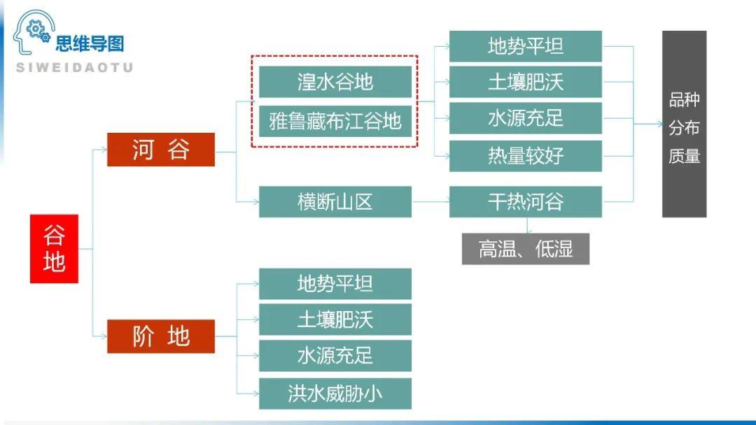 【地理思维】整体性＆自然带＆雪线、自然环境整体性原理的应用、2023届高三学子必备的彩色地理思维导图...