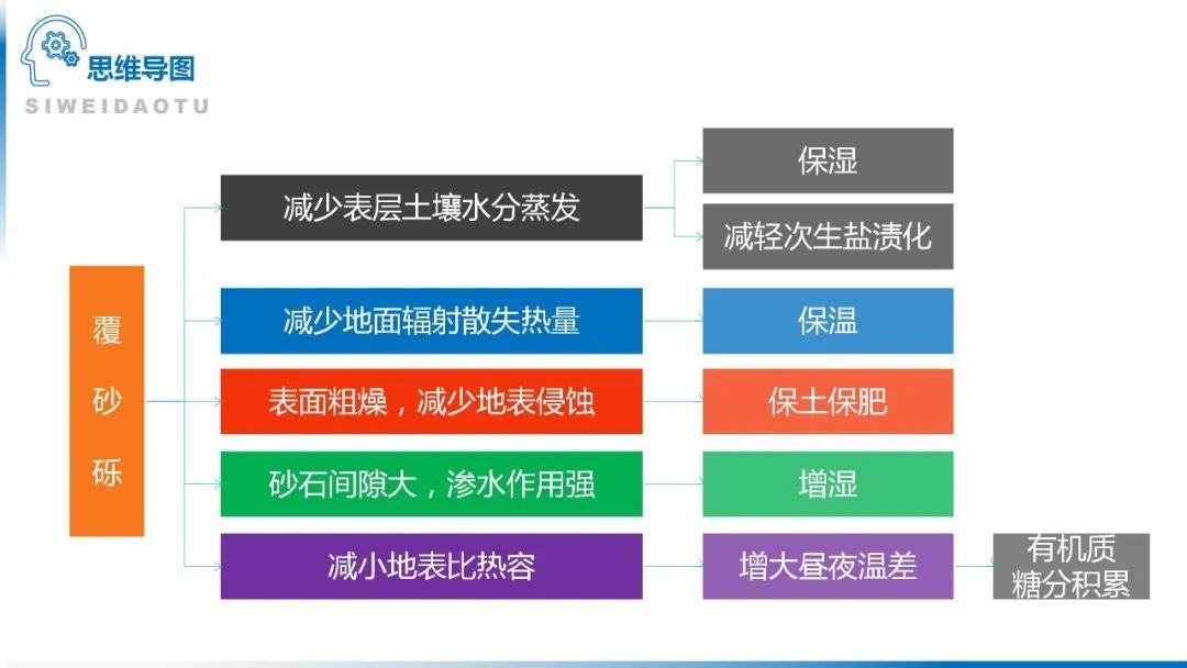 【地理思维】整体性＆自然带＆雪线、自然环境整体性原理的应用、2023届高三学子必备的彩色地理思维导图...