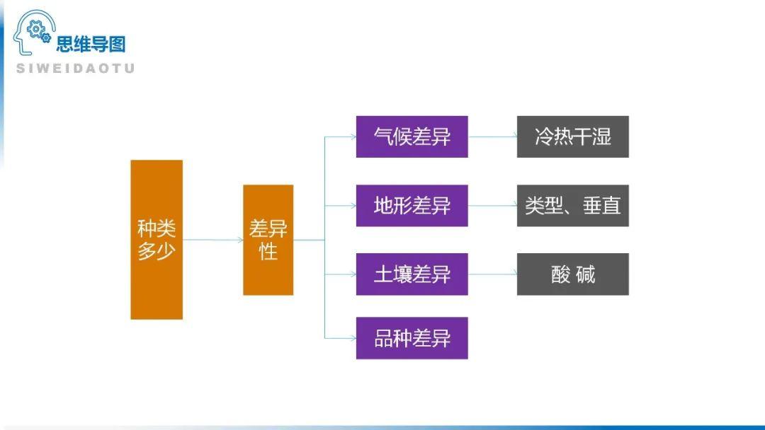 【地理思维】整体性＆自然带＆雪线、自然环境整体性原理的应用、2023届高三学子必备的彩色地理思维导图...