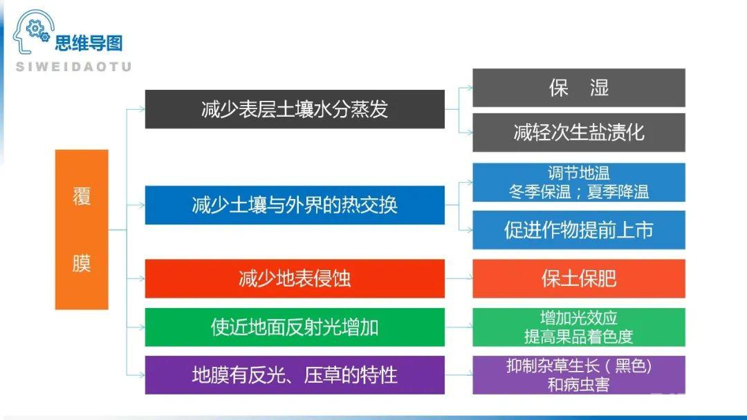 【地理思维】整体性＆自然带＆雪线、自然环境整体性原理的应用、2023届高三学子必备的彩色地理思维导图...