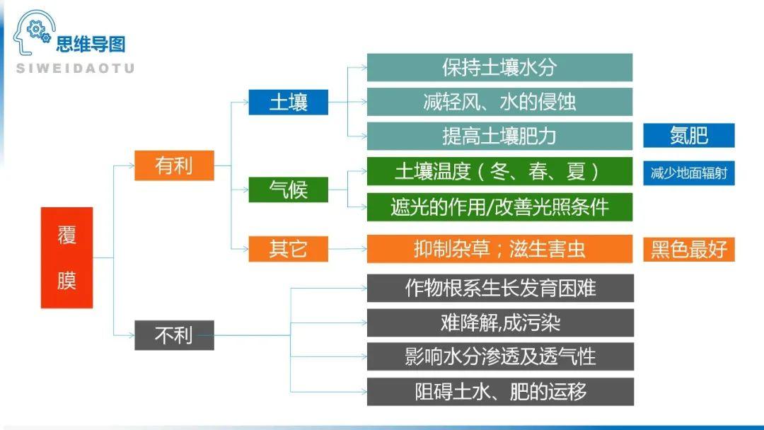 【地理思维】整体性＆自然带＆雪线、自然环境整体性原理的应用、2023届高三学子必备的彩色地理思维导图...