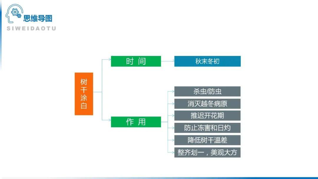 【地理思维】整体性＆自然带＆雪线、自然环境整体性原理的应用、2023届高三学子必备的彩色地理思维导图...