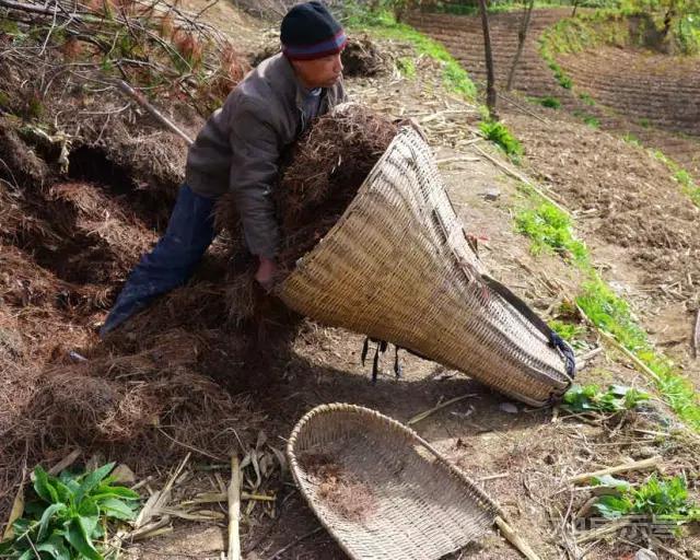 黑土地上的著名人文纪实摄影家关秀峰作品欣赏