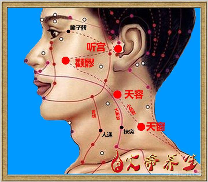 倪海厦针灸笔记（一四七）——天窗、天容与颧髎穴