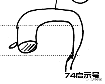 伤寒论40：大黄甘草汤、调胃承气汤、小承气、大承气、大黄牡丹皮汤、当归赤豆散、己椒苈黄丸、大柴胡、麻...