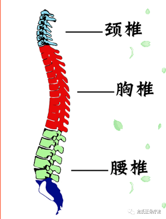 记住“颈腰诊断歌”，立马就知病根在哪！