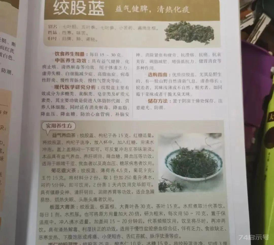 绞股蓝，山上就有，为咱老百姓滋补强壮、降三高的良药