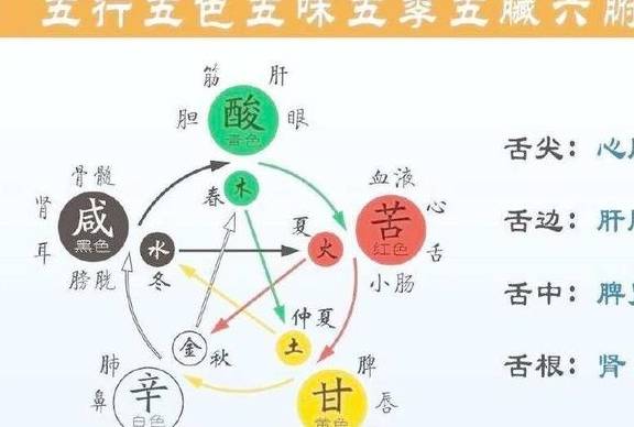 “五行”为什么按照“金木水火土”的排序？原因让人想不到