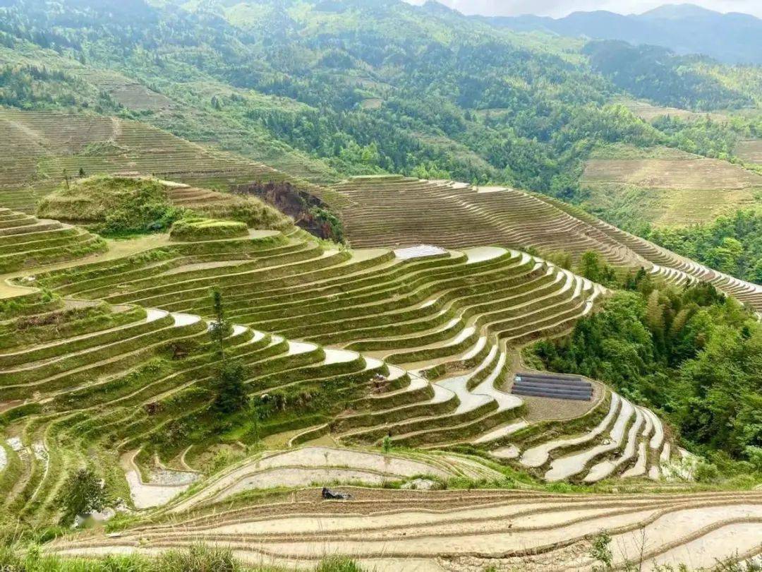 泡龙胜天然温泉，住桂林龙胜温泉度假中心酒店，享烟雾中的诗情画意，接受大自然的洗礼！