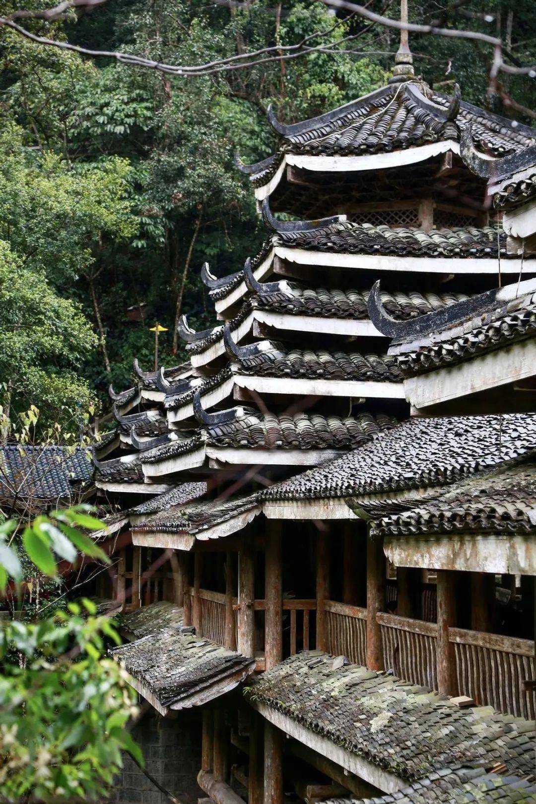泡龙胜天然温泉，住桂林龙胜温泉度假中心酒店，享烟雾中的诗情画意，接受大自然的洗礼！